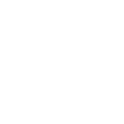 webdevtrev Logo